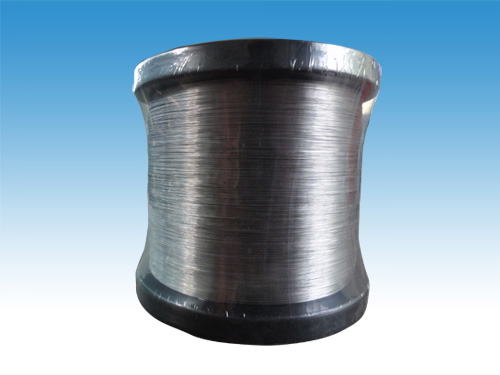 �F�t�X�Ͻ�